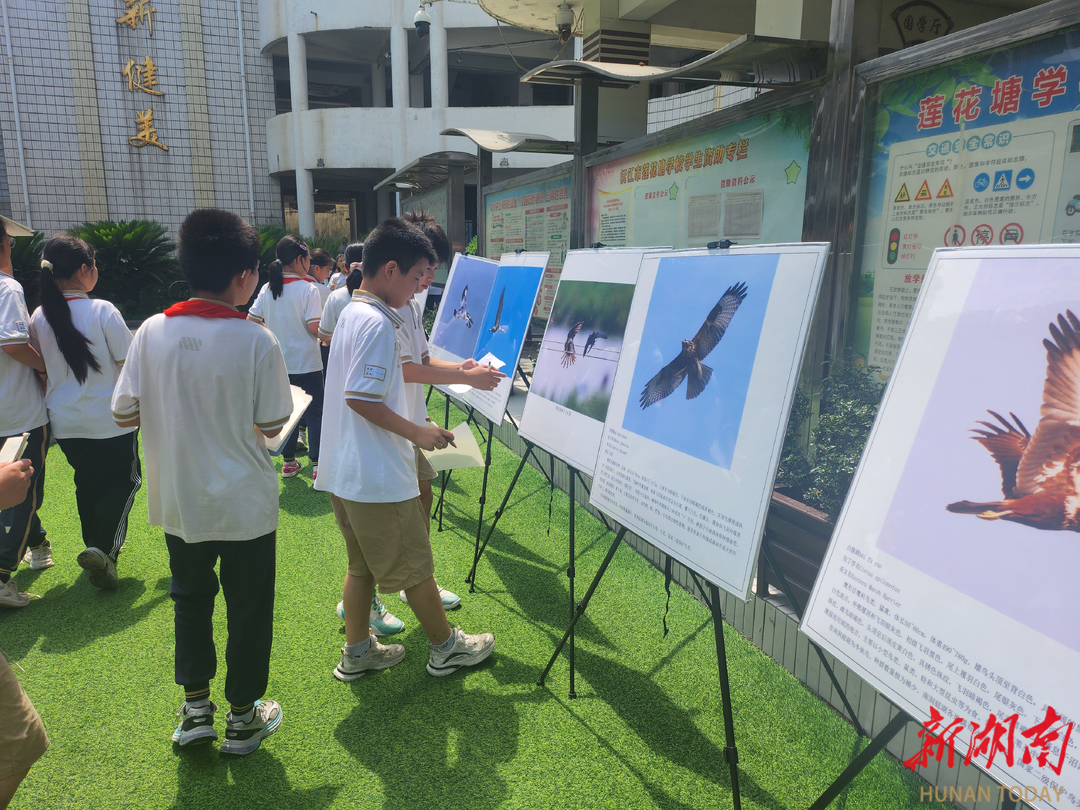 沅江莲花塘学校：探索科技魅力 点燃创新火种