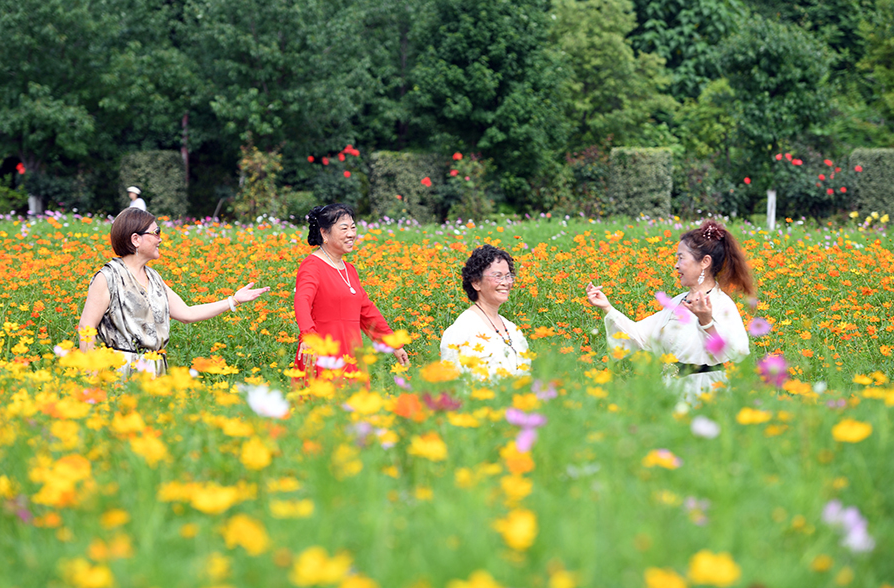 夏花烂漫公园美