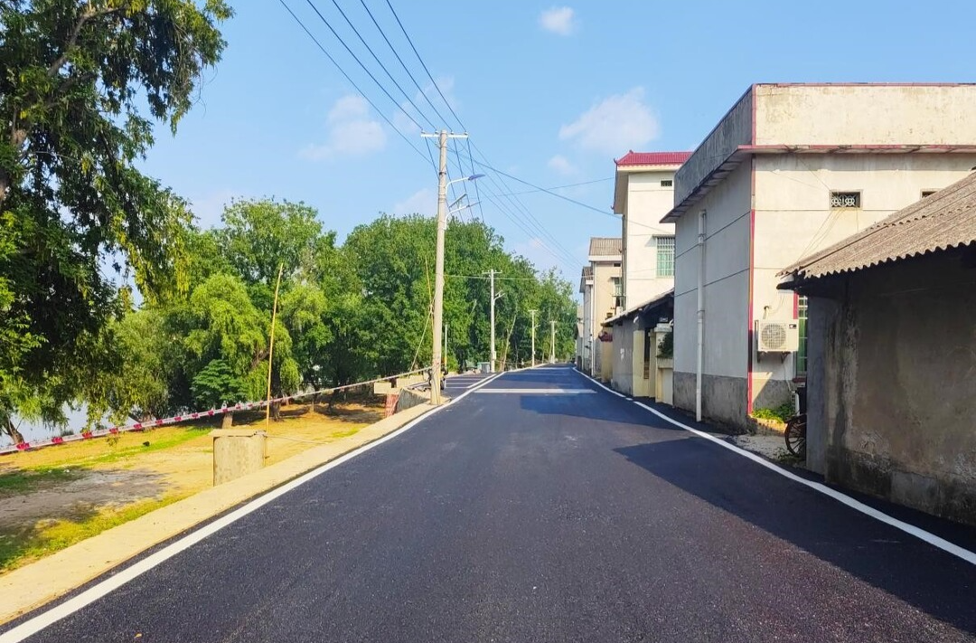 兴马洲：百日整治扮靓家园 共建生态宜居洲岛
