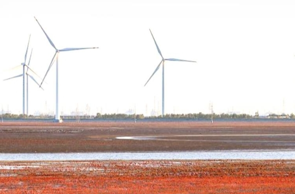 近观“两山”丨多彩中国