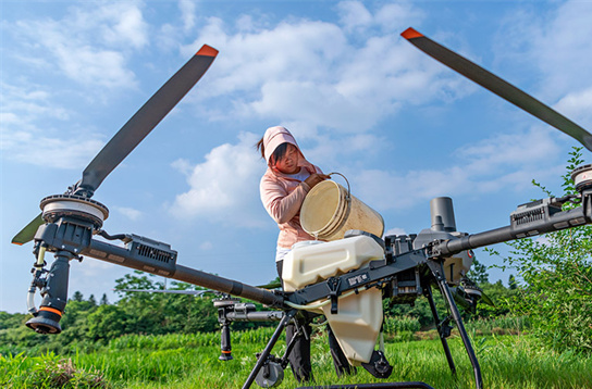 Agricultural Drones Help Summer Farming in Dong'an County