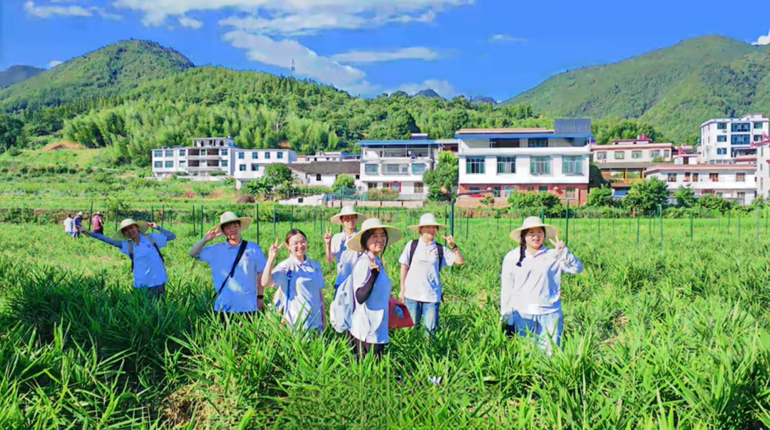 从“出路在哪里”到“幸福在眼前”！湖南省人大常委会机关驻汝城县五一村乡村振兴帮扶工作队书写振兴答卷