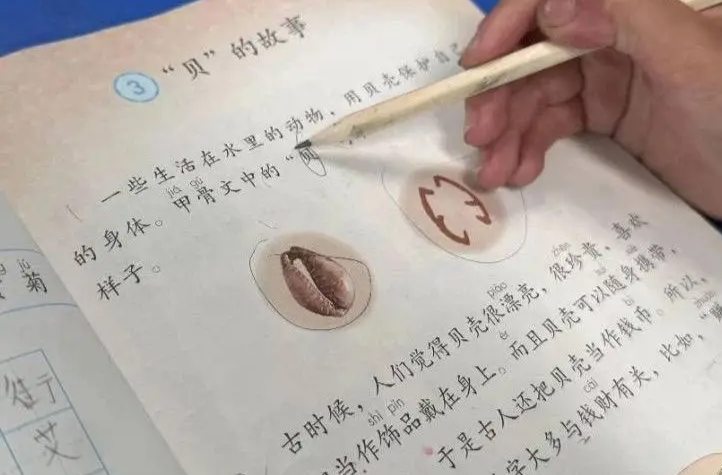 二年级男孩给语文课本挑错，人教社回信了！