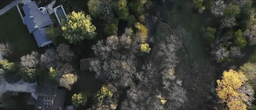 习近平与外国友人的故事｜邦尼街2911号里的友谊