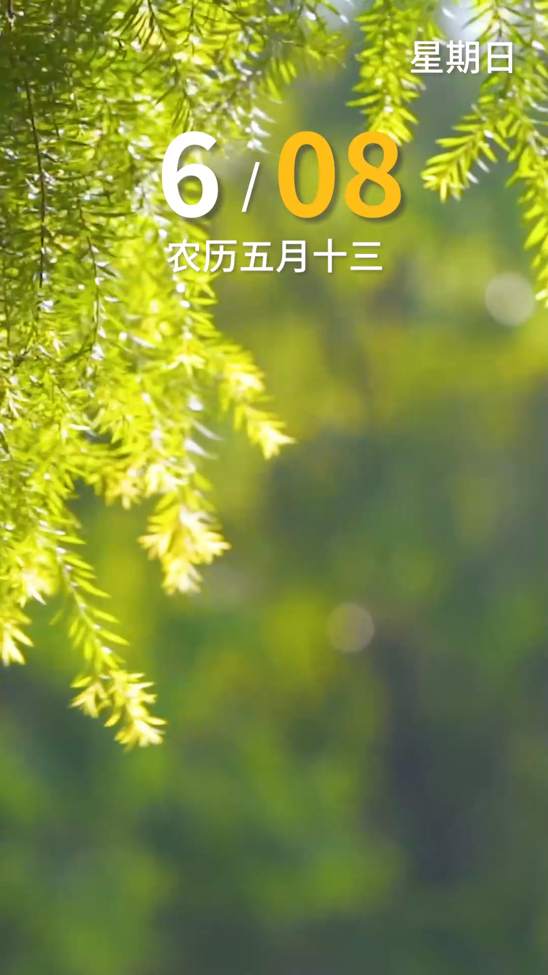 今天是6月8日，早安