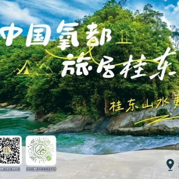 湖南5大高铁站为何集体亮起桂东风景？答案就藏在23℃的森林氧舱里