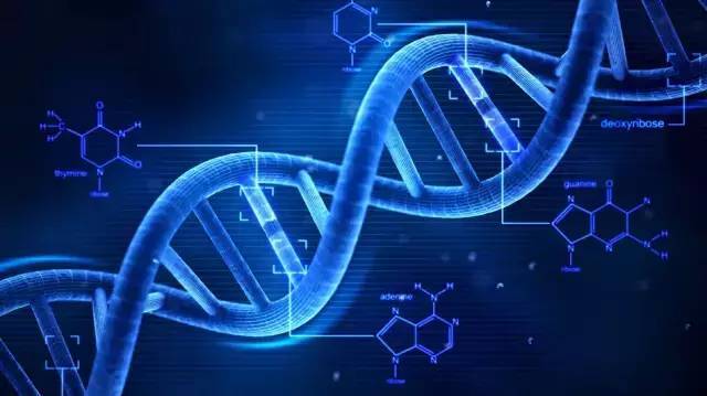 教育部教育考试院：2025年高考生物全国卷试题评析