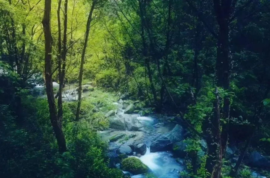 准考证别丢！！来南岳免票