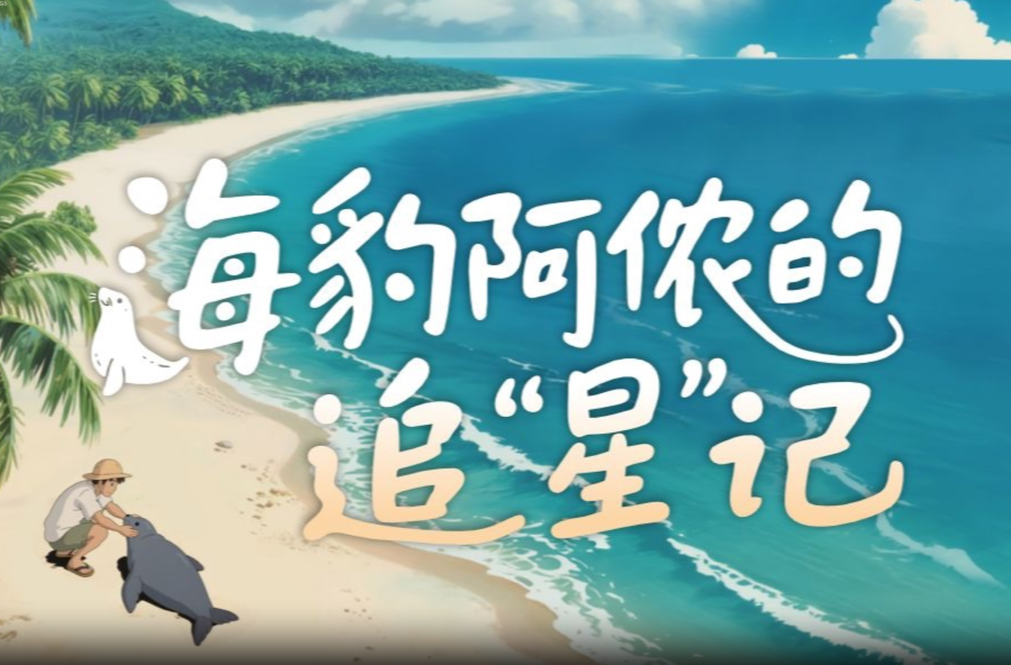 真稀奇！有位特殊的“海洋来客”在文昌追“星”一年多……