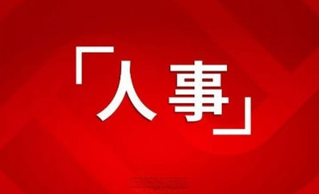 岳阳市政府发布最新人事任免