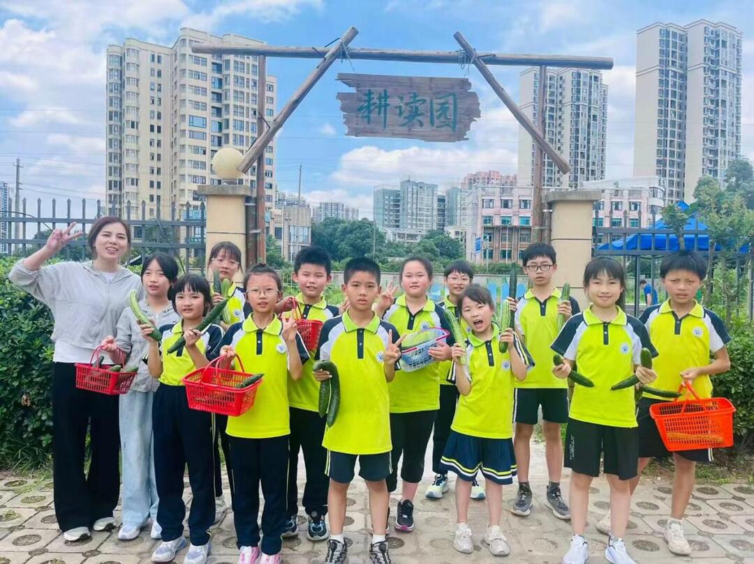 空地变乐园！长沙市开福区金湾小学“耕读园”劳动实践基地正式启用