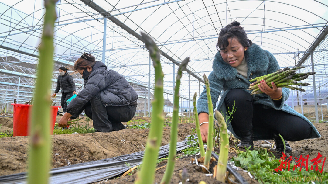 铺就高原共富路 ————湖南对口支援山南系列报道之一