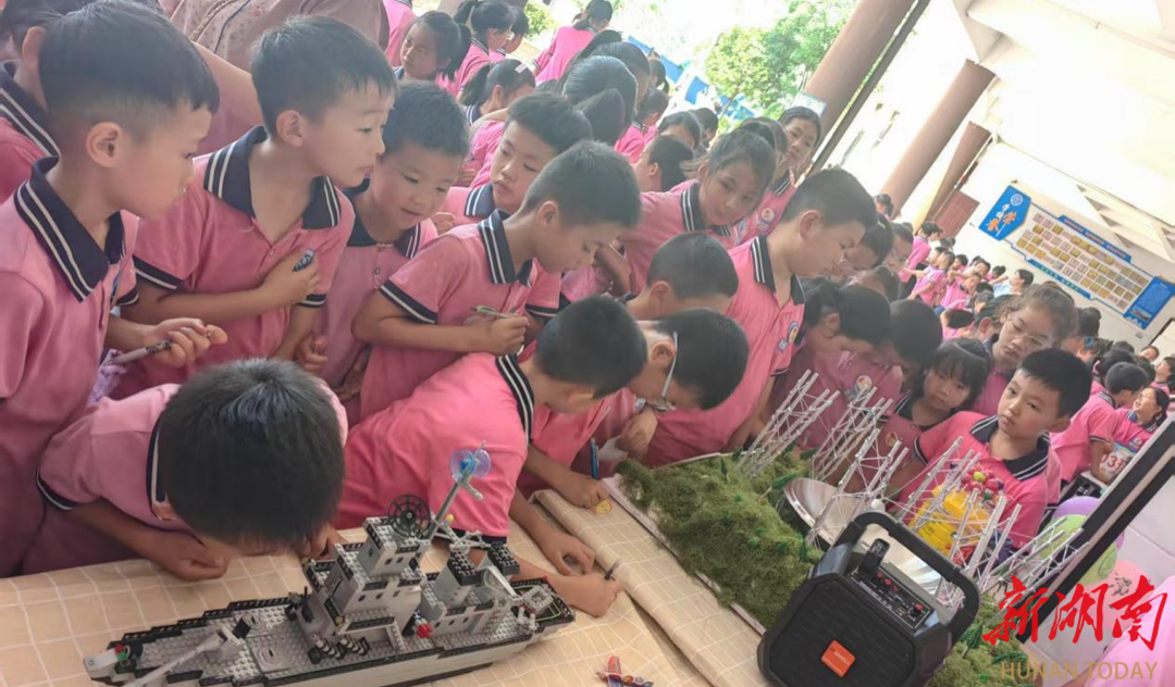 沅江市南洞庭实验学校：小小科学家 放飞科技梦