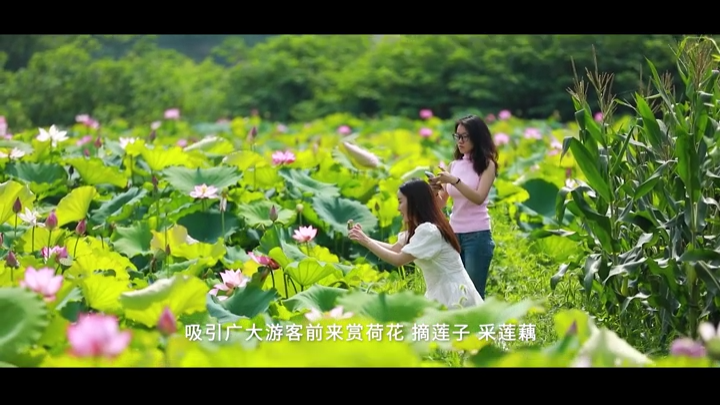 视频|漫步秀美高灯河