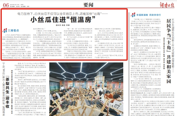 小丝瓜住进“恒温房”——电力加持下，白关丝瓜不仅可以全年结瓜上市，还能加快“出海”@湖南日报要闻头条
