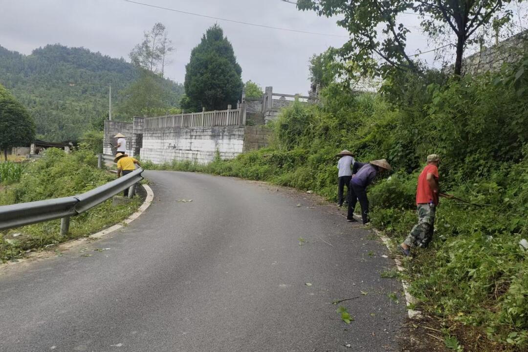 保靖县普戎镇：道路砍青除隐患 筑牢群众出行安全网