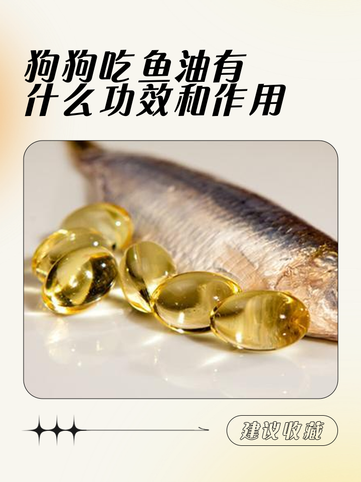 文萃新知｜吃鱼油是不是交“智商税”
