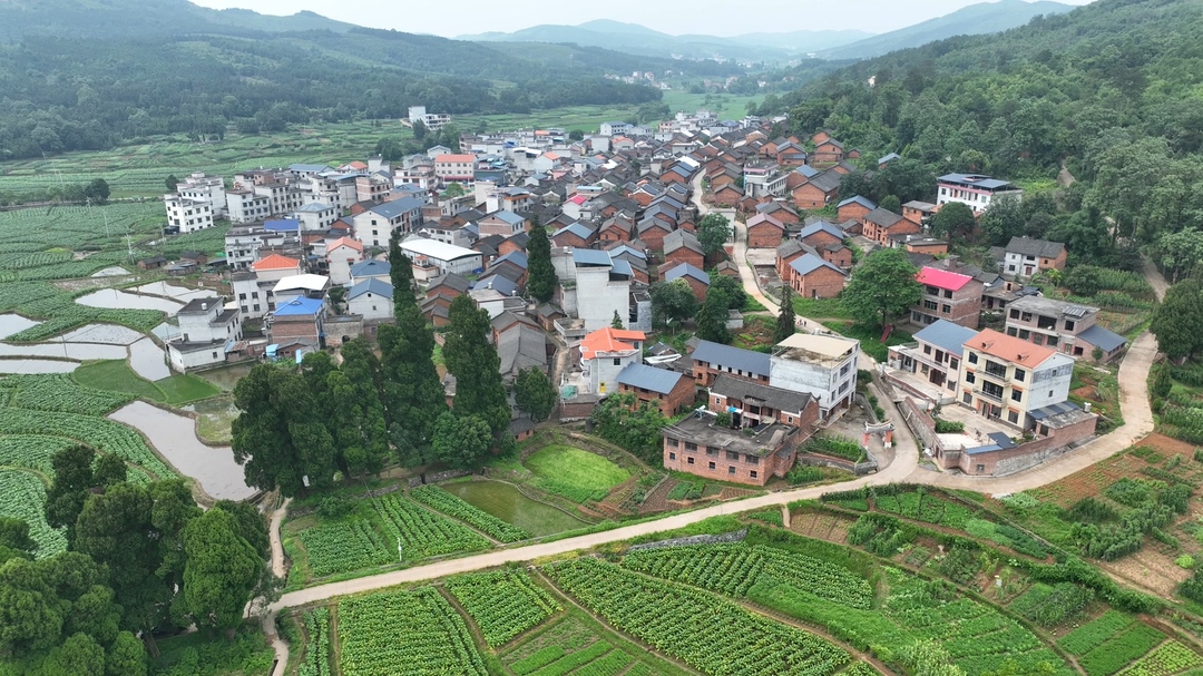 “全国文明村”宜章锁石村：一条路一家人一条心