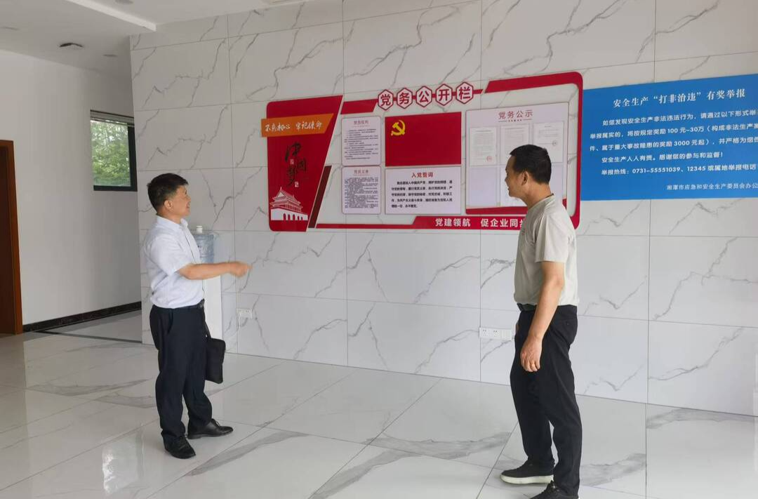 雨湖区：党建引领聚合力 精准指导促发展