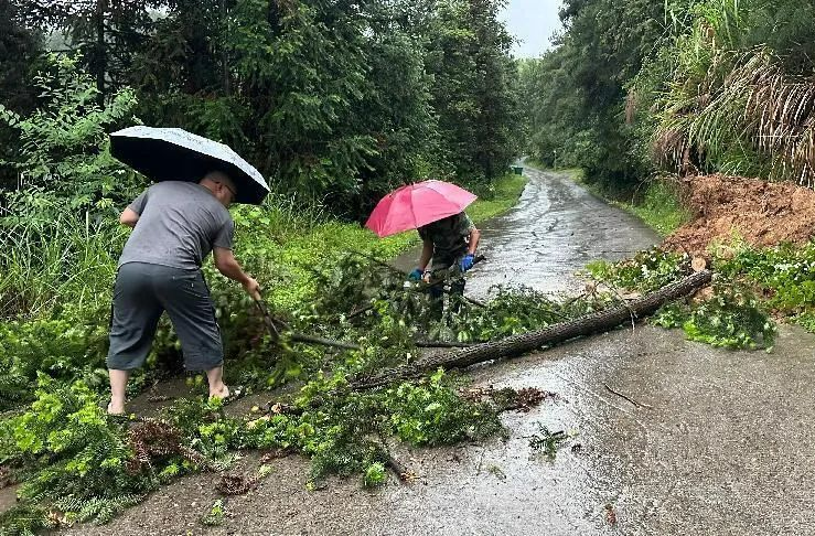 无惧风雨！他们奋战在一线