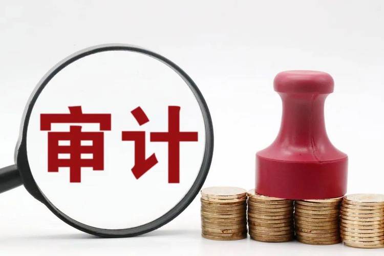 抓牢思想政治工作 服务审计高质量发展