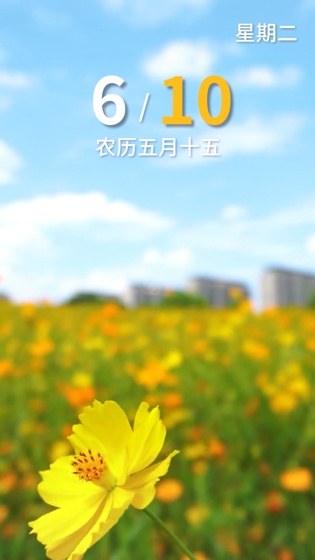 今天是6月10日，早安！