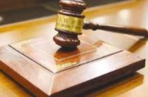 韶关一儿童在小区内被乌龟砸头身亡！饲养人被判赔128万元