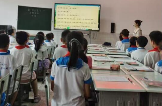 澧县第一完全小学：青蓝相续展风采 深耕复习共成长