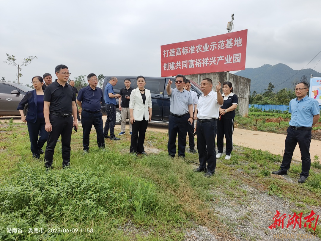 省级专家服务基地落户娄底 专家团赋能油茶产业高质量发展