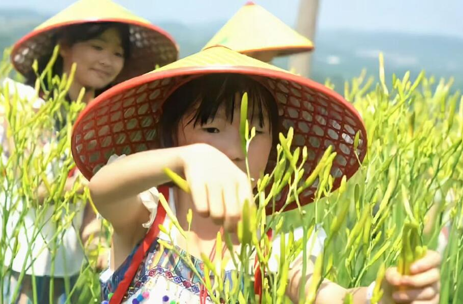 邵东市流光岭镇茶市小学：打造“金色劳动课” 培育合格接班人