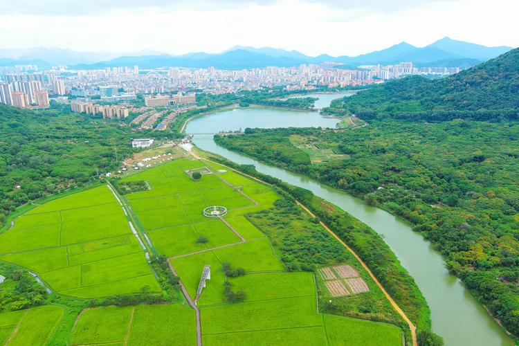 我省深入推进全域土地综合整治以县域为统筹单元，以乡镇为基本实施单元