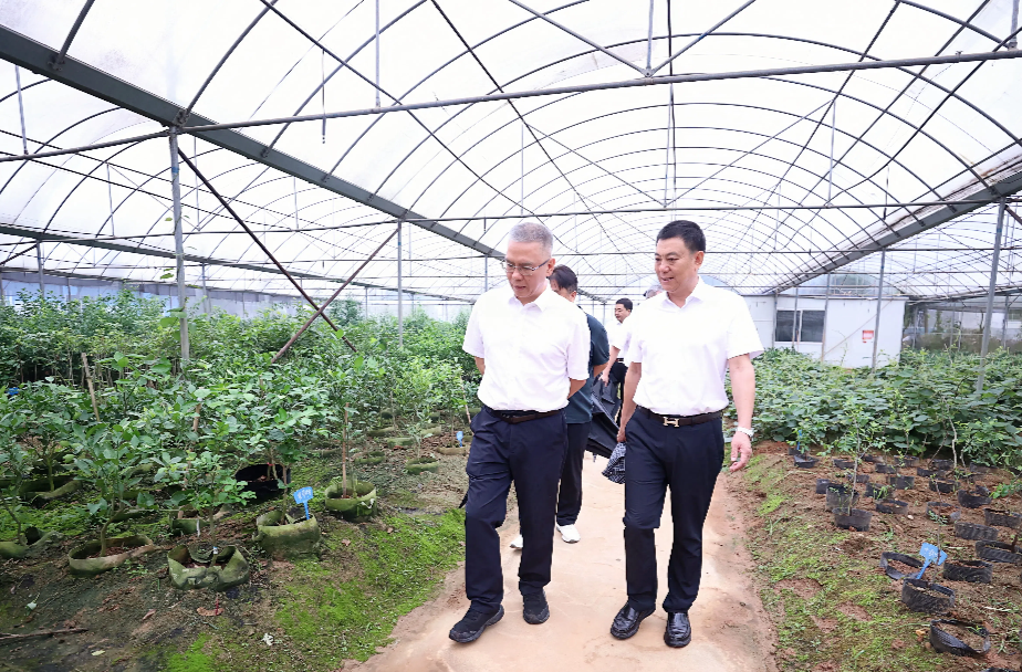 曹慧泉在攸县调研并暗访相关工作