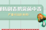 此类蘑菇看似“无害”，实则剧毒！
