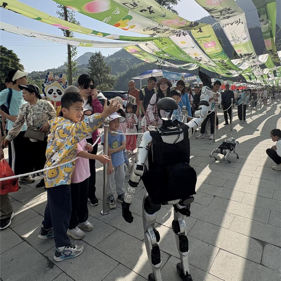 宜章莽山：22℃清凉游，重新定义山岳旅游夏日方式