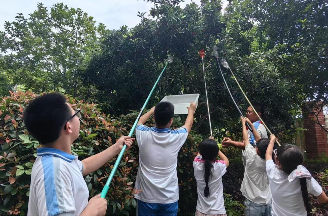 湖南湘江新区博才云时代小学：