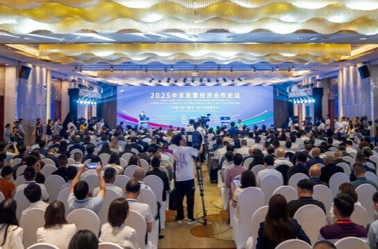 中非企业代表共话民营企业投资非洲新机遇—— “中非民营经济合作前景广阔、发展可期”