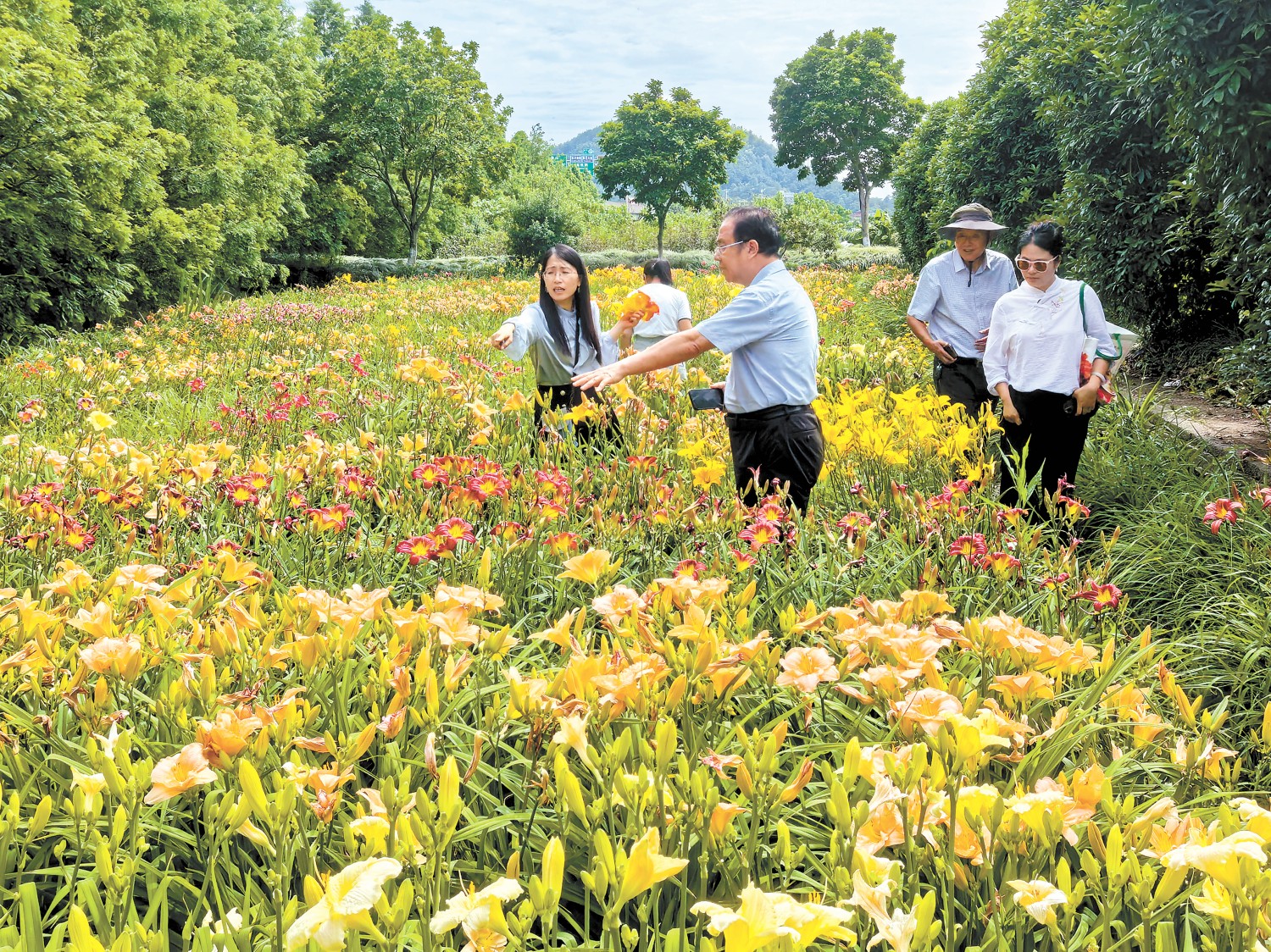 第五届萱草学术与产业研讨会在浙江宁波召开