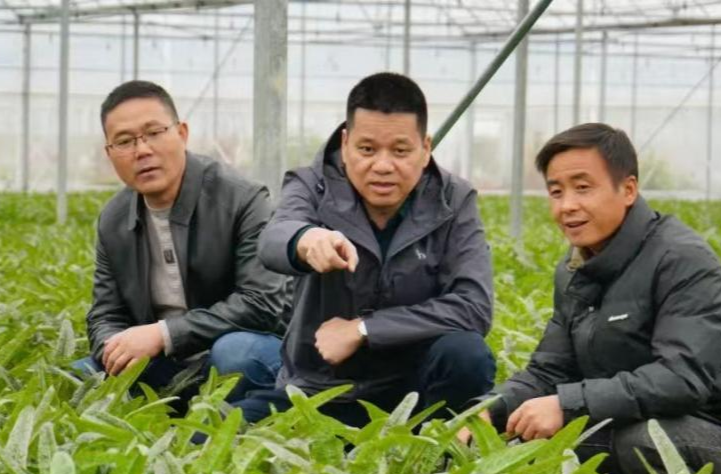 汉寿县四级人大代表倾听民声 化解百姓忧愁