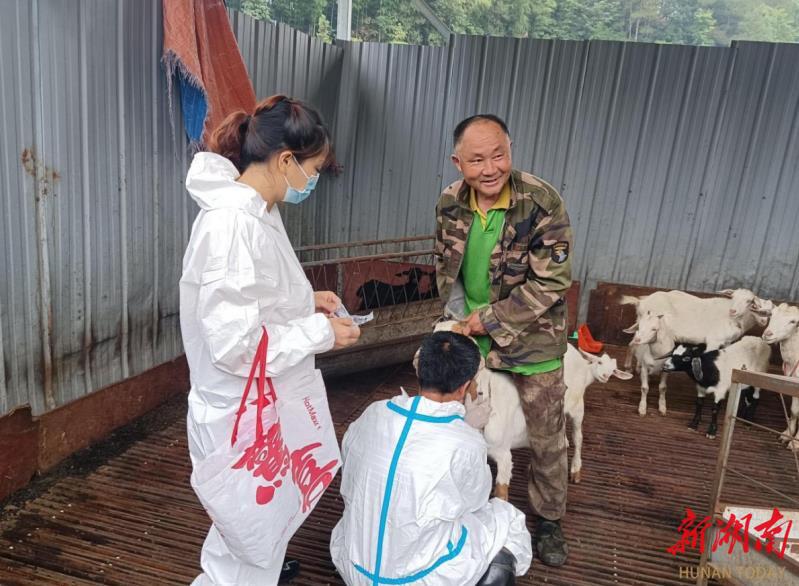 邵阳县长阳铺镇开展春防“回头看”筑牢畜牧安全屏障