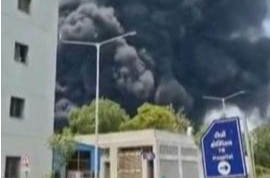印度坠机已致170人遇难