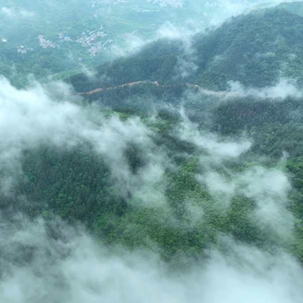 微视频｜麻阳山谷云雾绘乡村新图