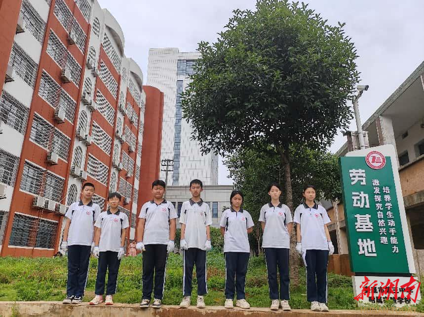 辨草护绿悟劳动 知行合一促成长——娄底三中附属实验学校开展学科融合劳动实践活动