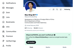 外交部发言人毛宁转发“穆萨故事”