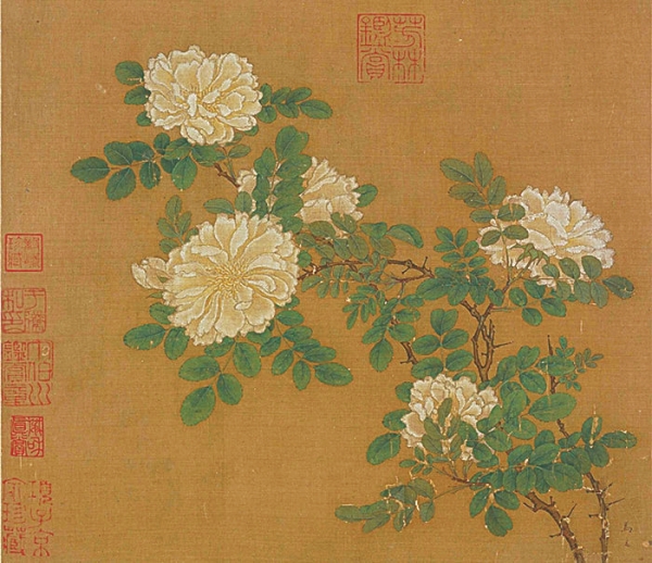 湘江副刊·艺风丨一枝白蔷薇的留白