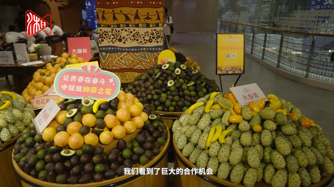 肯尼亚贸工部部长：期待中国农企参与非洲的粮食生产和粮食安全解决方案