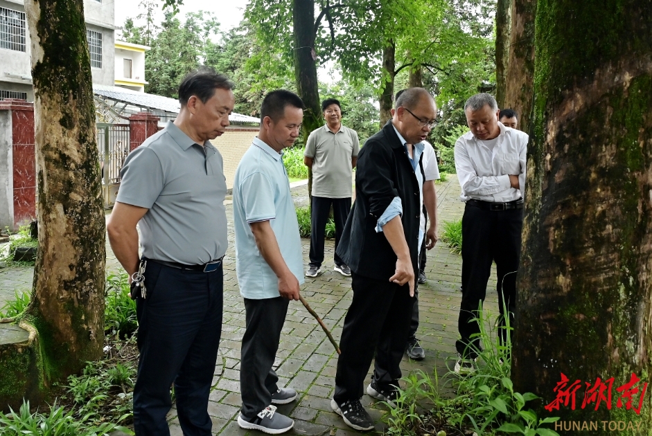 隆回金石桥镇：“道德评议”为黄金井村荣膺全国文明村镇“锦上添花”