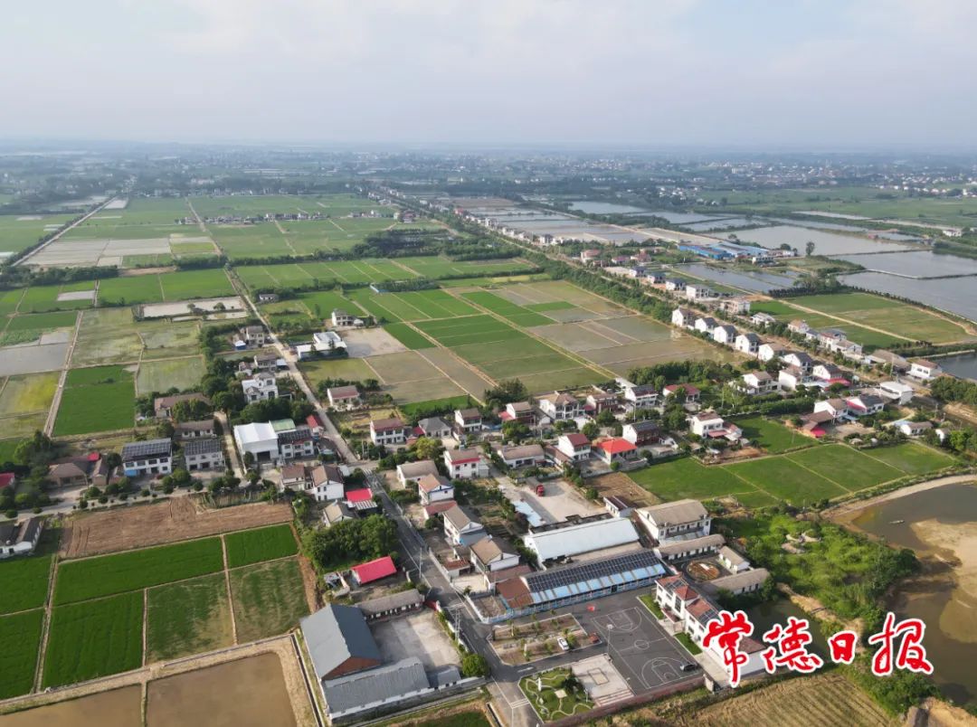 我的村庄和我——全国劳模张祖爱和全国乡村治理示范村汉寿县金盆岭村的故事
