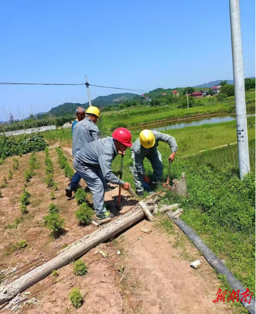冷水滩区政协委员助力乡村电网焕新