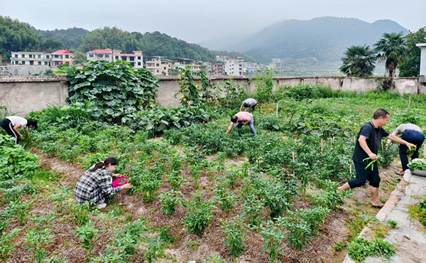 衡阳县清潭中学：勤耕绽芳华，夏日结硕果