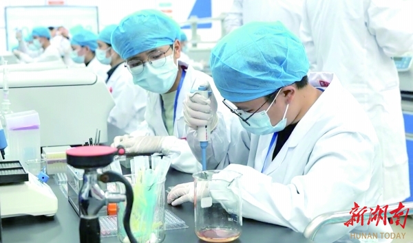“智慧新农人”炼成记 ——邵阳职院生物工程学院的产教融合实践与乡村振兴担当丨湖南日报